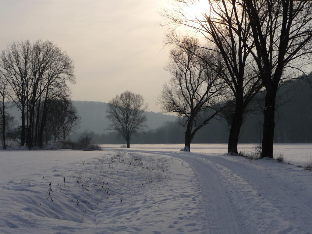 Saaletal Pension & Ferienwohnungen Bad Bocklet Bagian luar foto